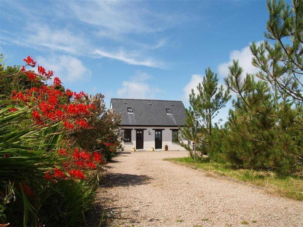 Cockshead Cottage Saint Dogmaels Esterno foto